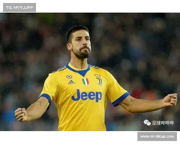 意甲考虑引入门线技术，与VAR系统形成互补